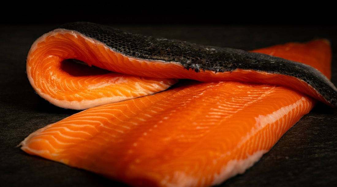 Aceites naturales para perros y gatos