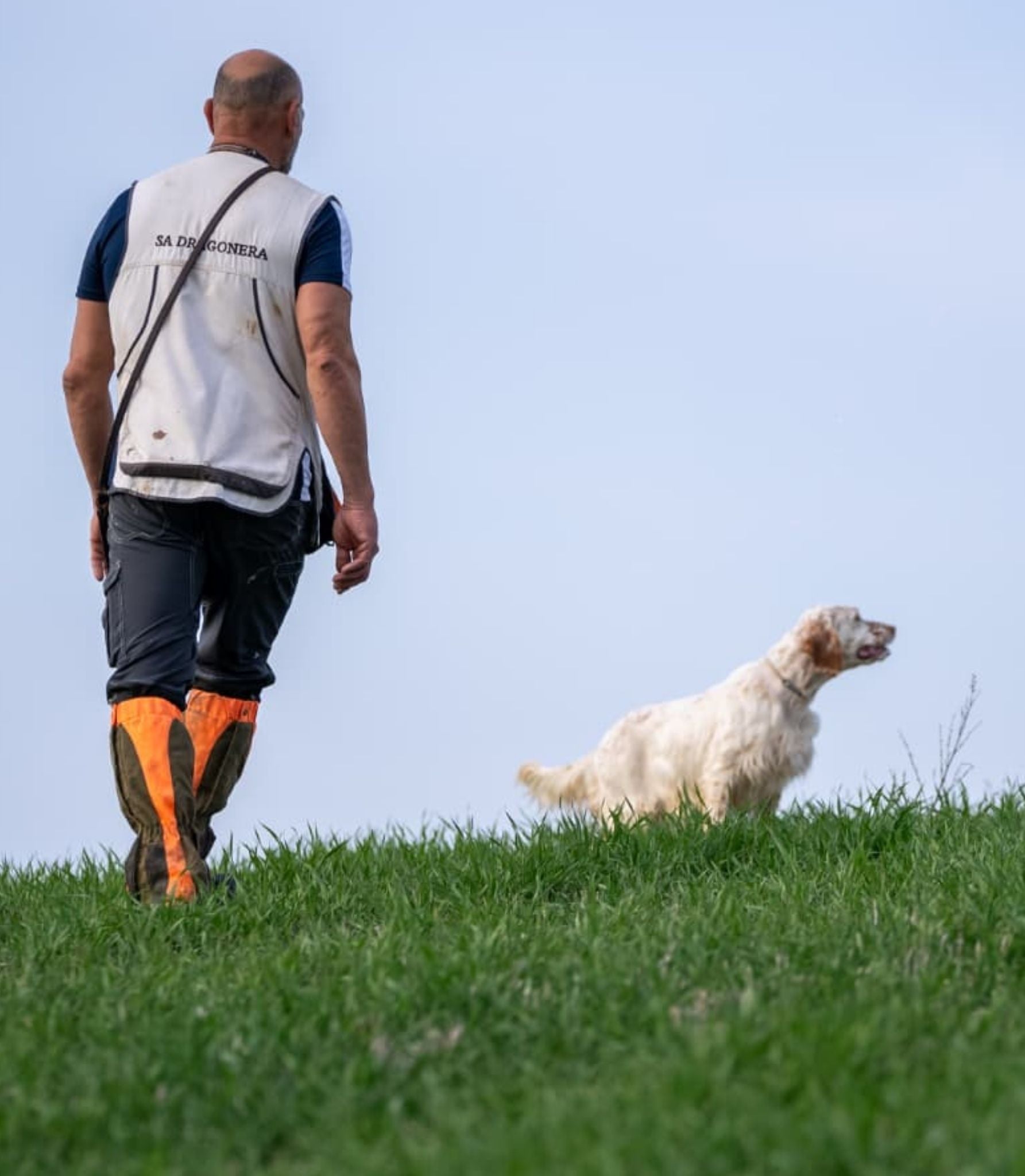 Perros de Competición