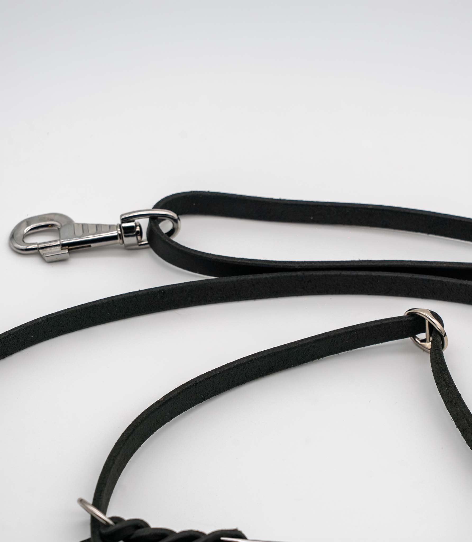 Correa de adiestramiento para perros