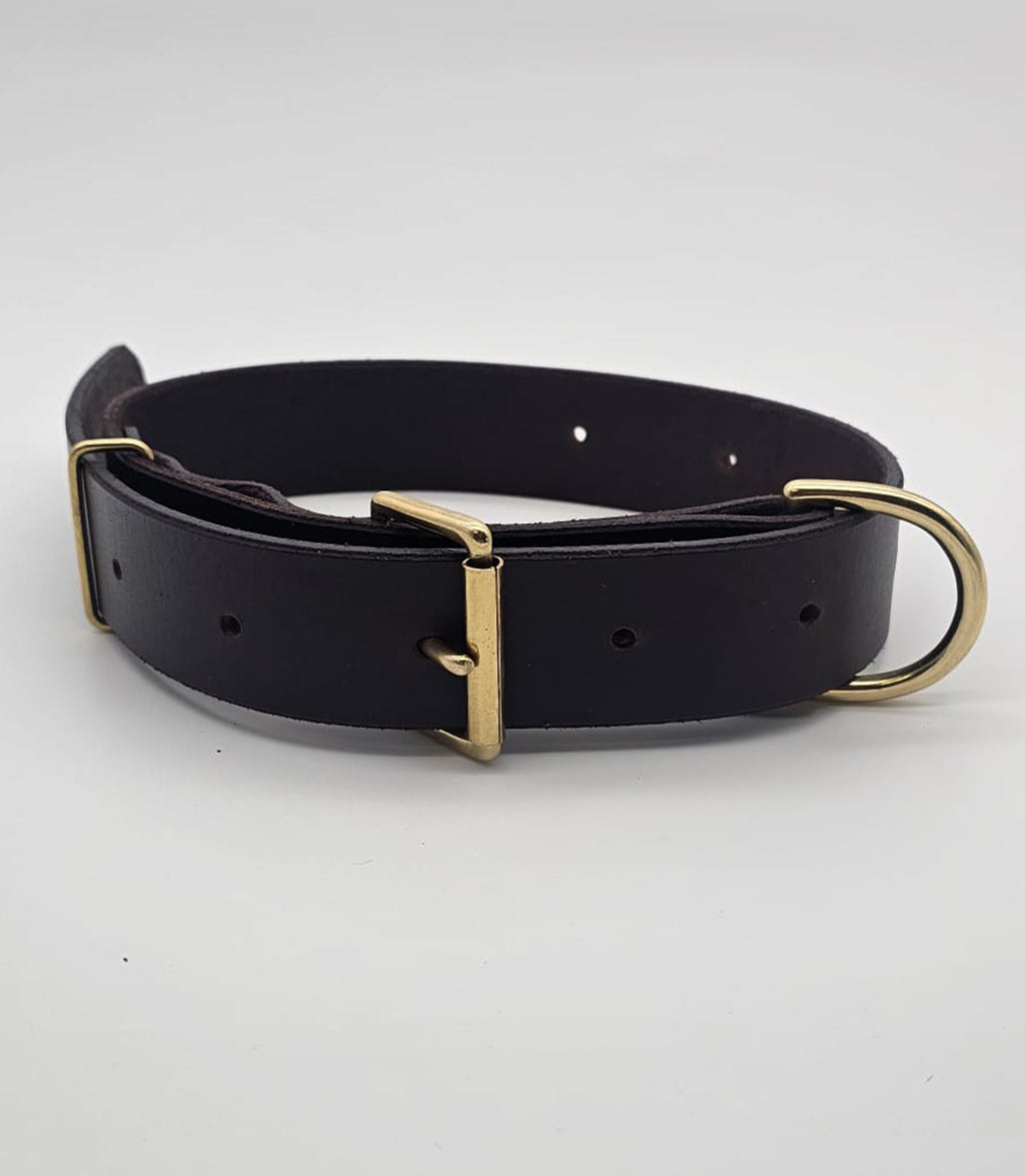 Collier pour chien Nuvik Titan Premium