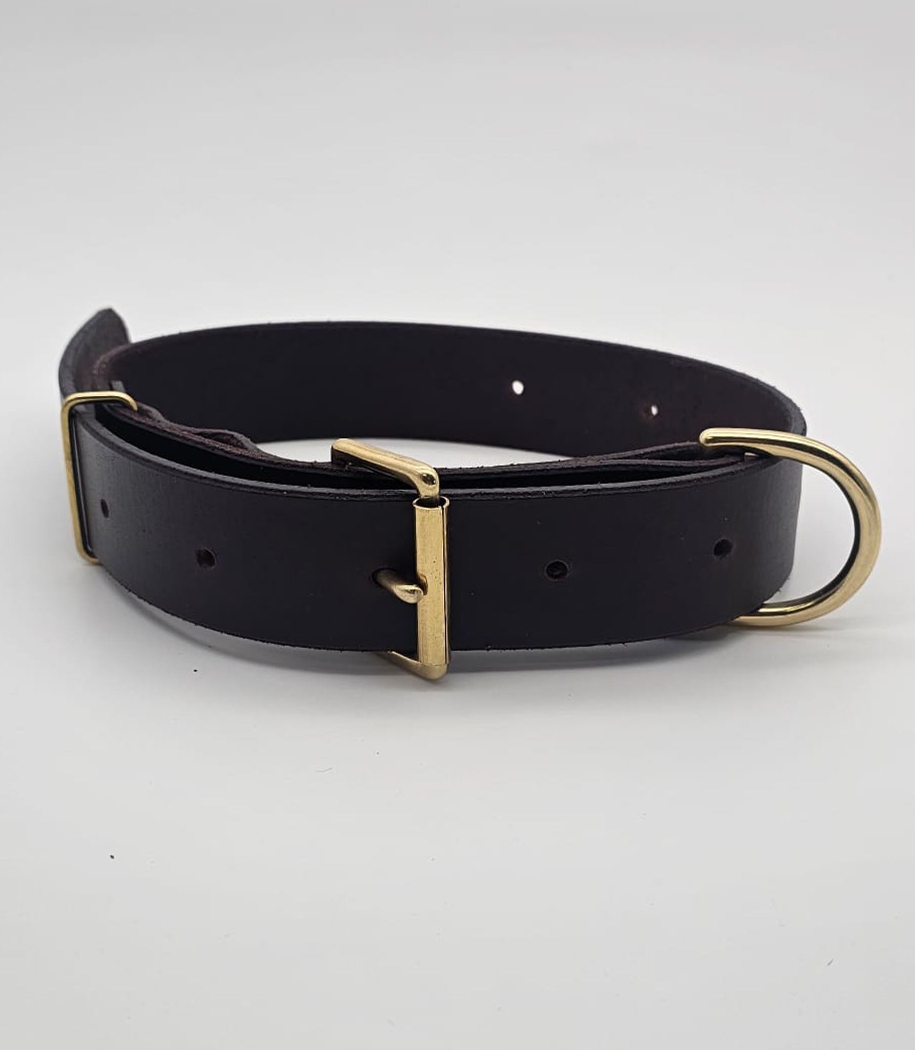 Collar Premium para Perros Nuvik Titan