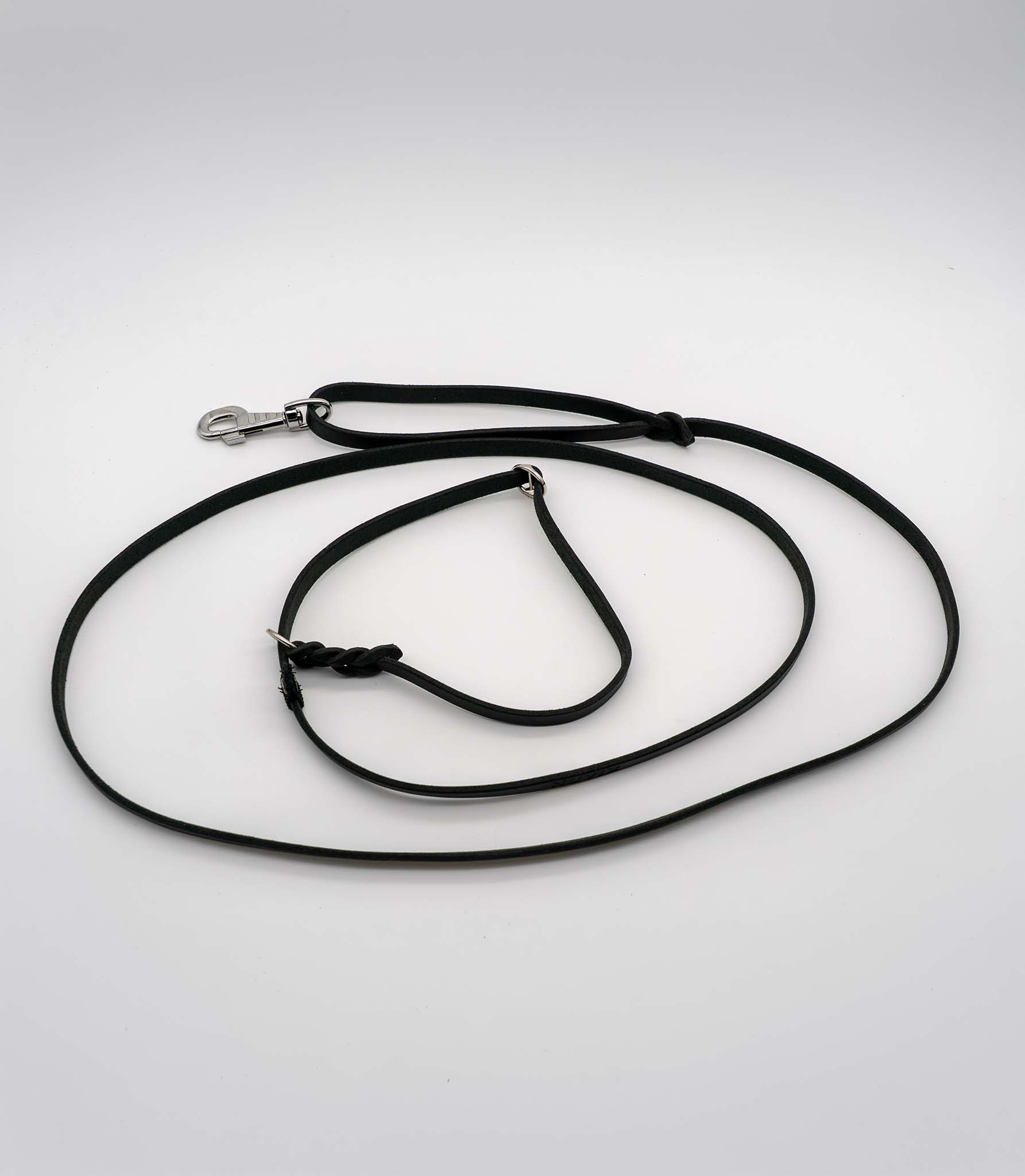 Correa para perros Nuvik Moe enrollada