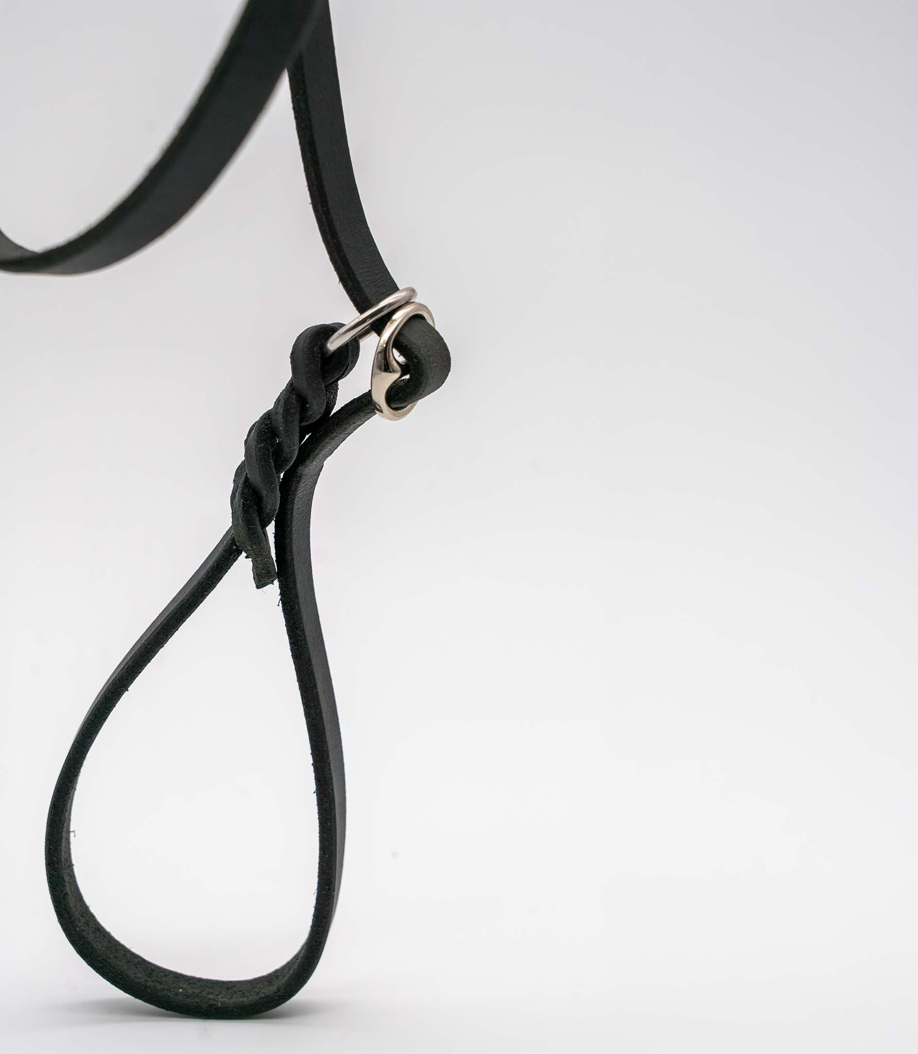 Refuerzo de la correa para perros Moe