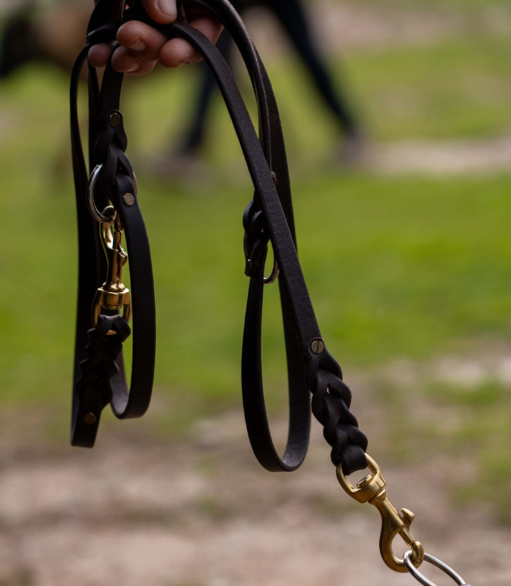 Multi-position Nuvik Versa Dog Leash