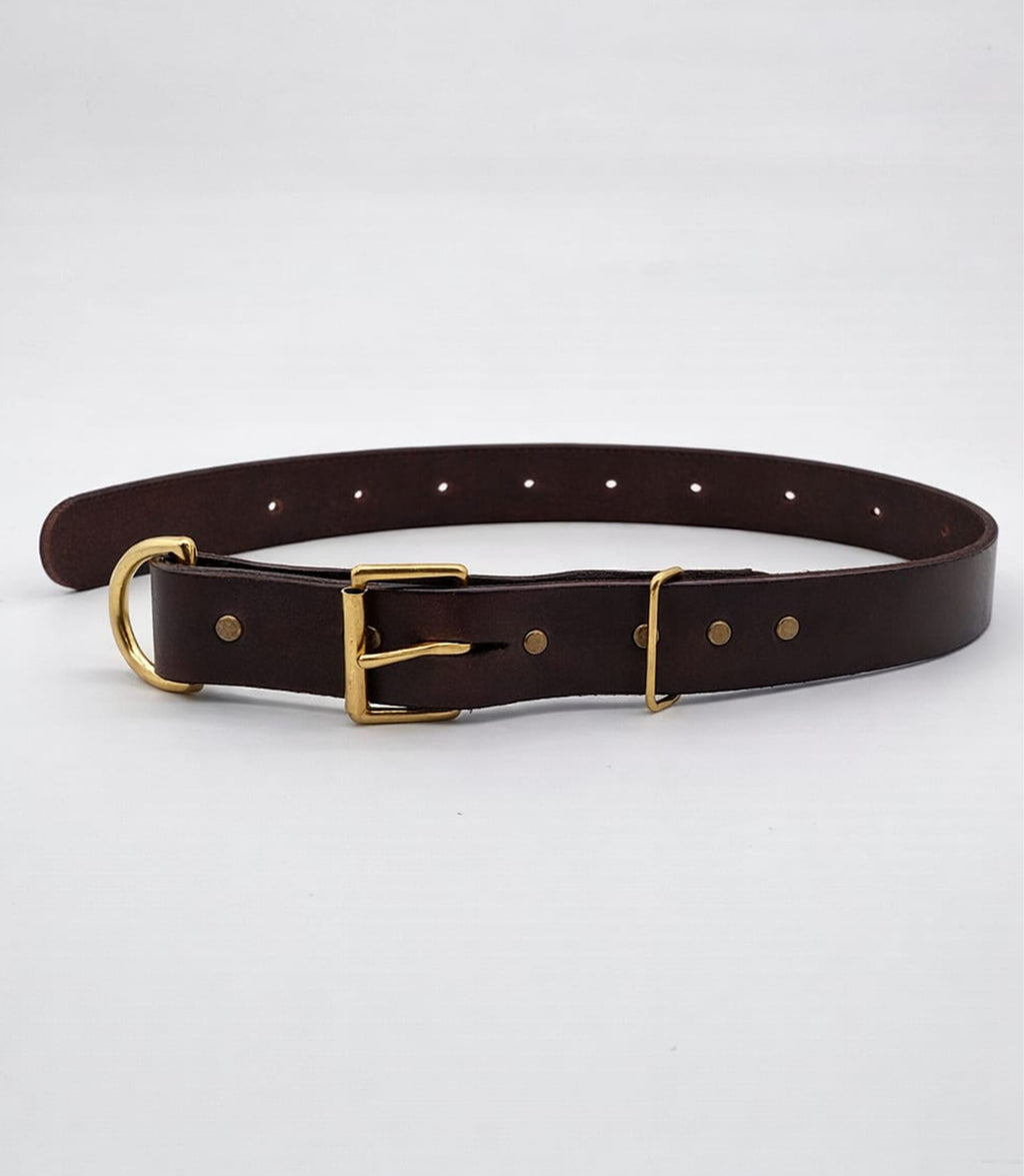 Collier pour chien Nuvik Titan Premium