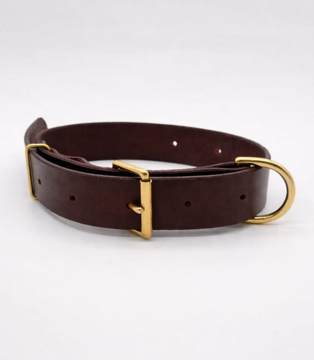 Collier pour chien Nuvik Titan Premium