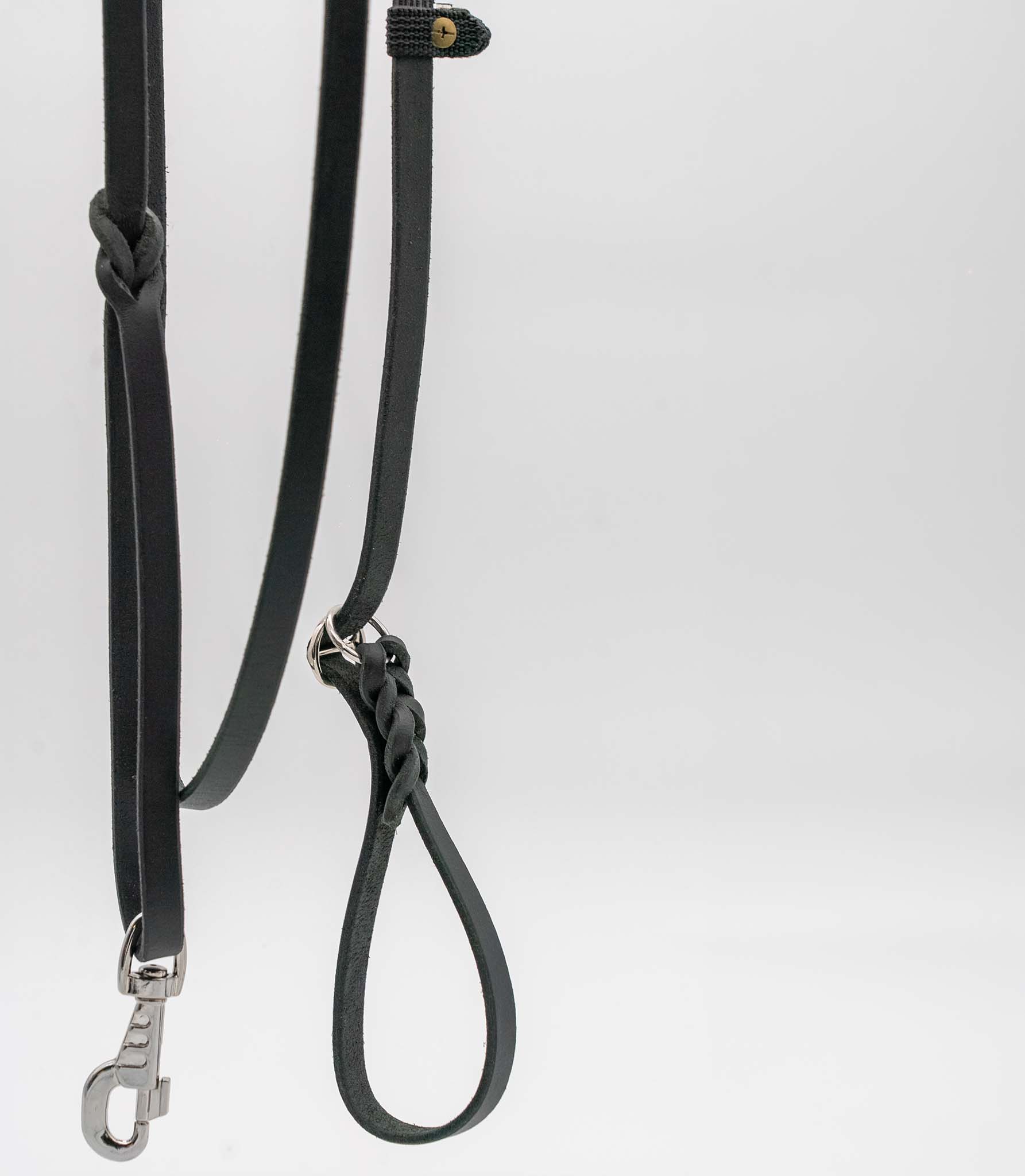 Correa para perros Nuvik Moe