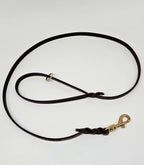 Nuvik Dragon Dog Leash
