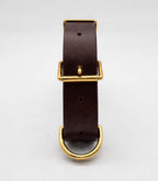 Collar Premium para Perros Nuvik Titan