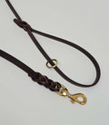 Nuvik Dragon Dog Leash