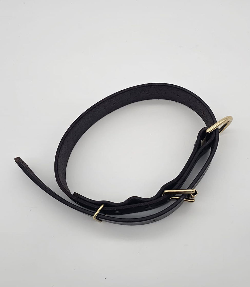 Collier pour chien Nuvik Titan Premium