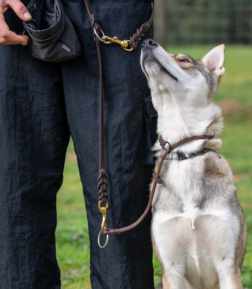 Multi-position Nuvik Versa Dog Leash