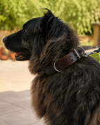 Collar de cuero inles NUVIK THOR
