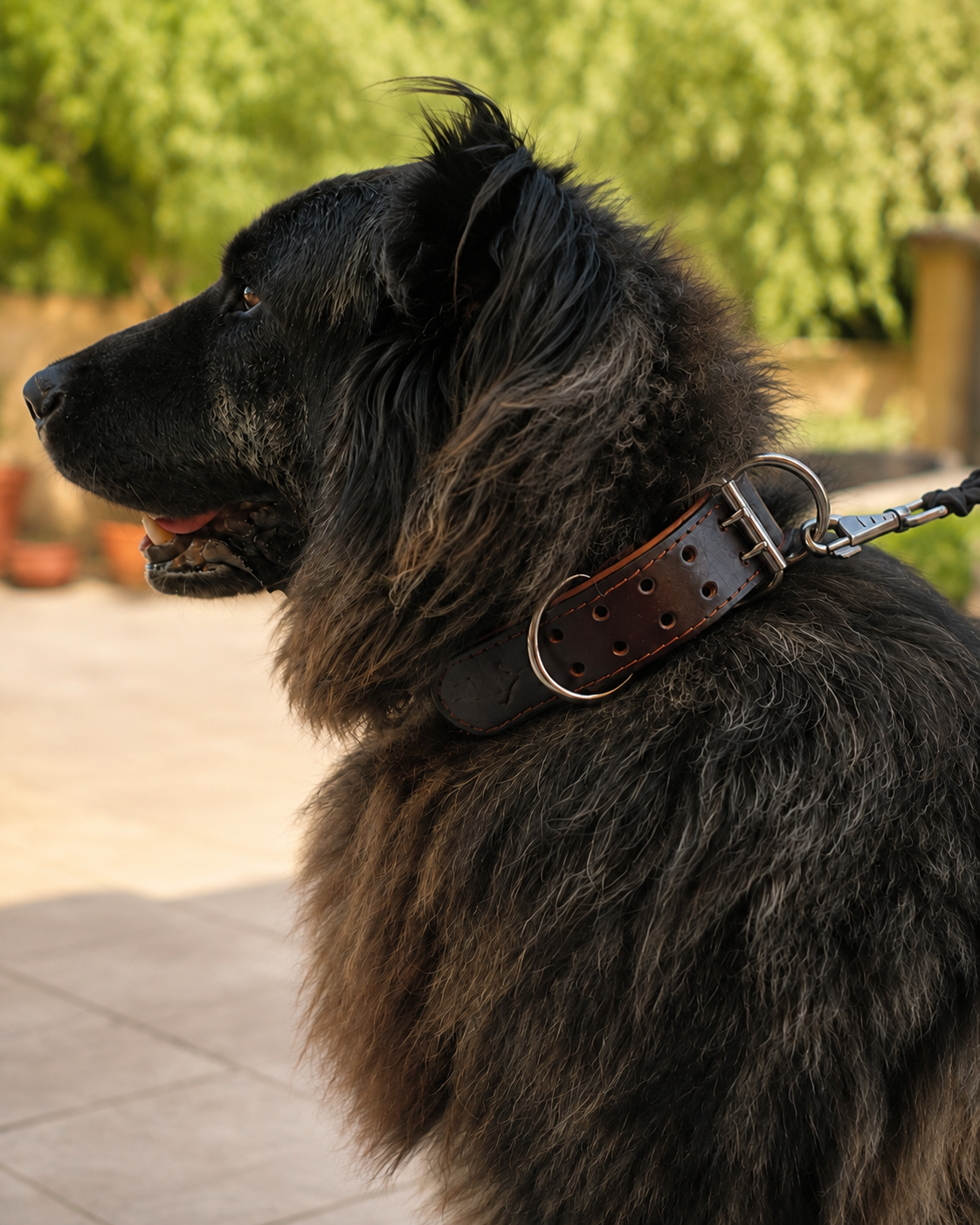 Collar de cuero inles NUVIK THOR