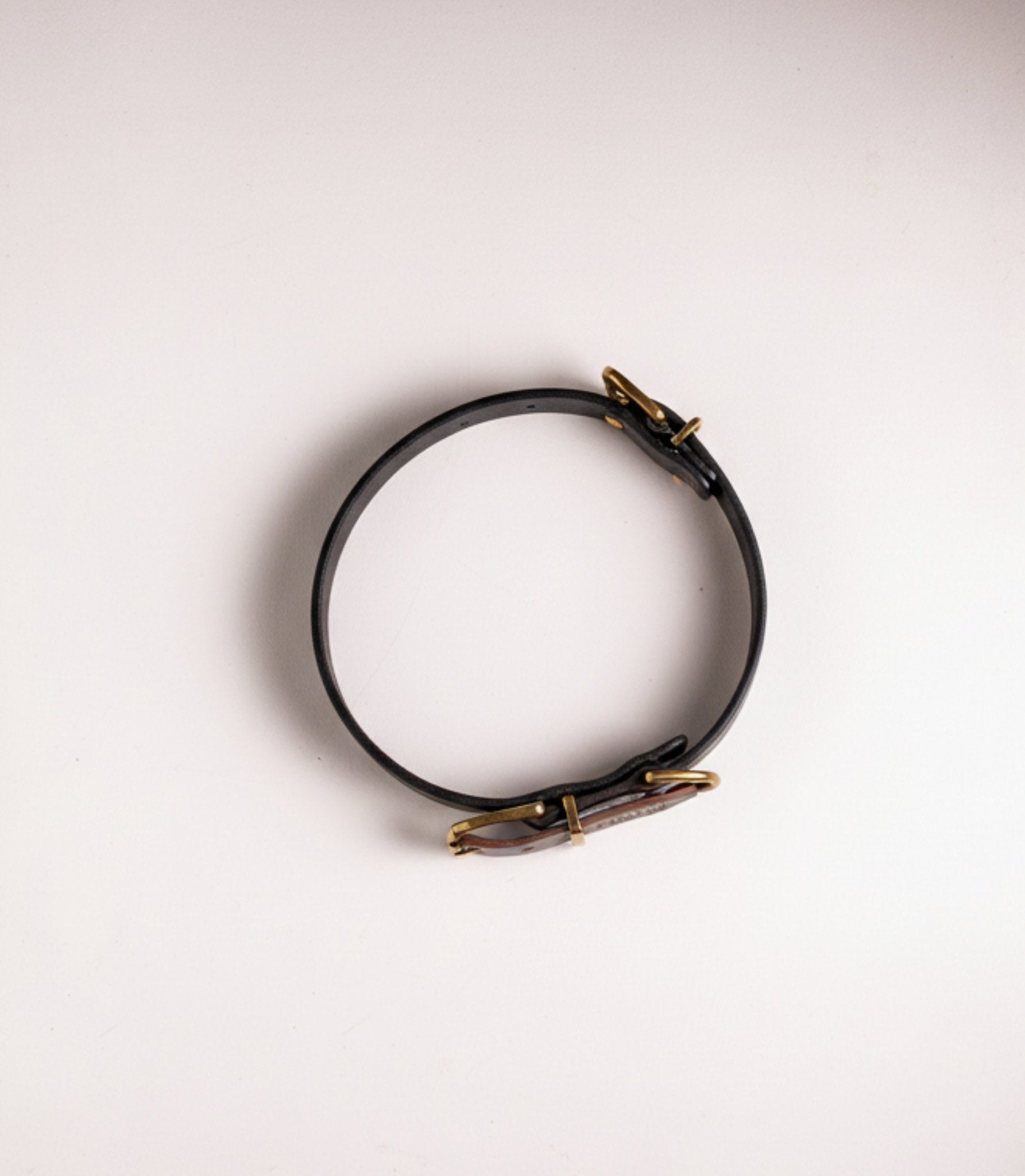 Collar para perros Classic cerrado