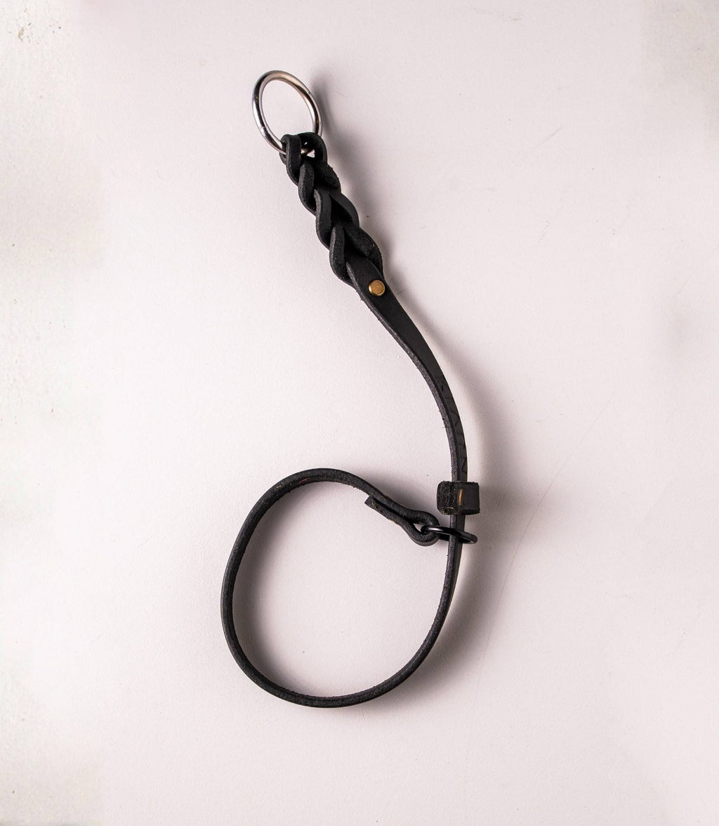 collar para perros 