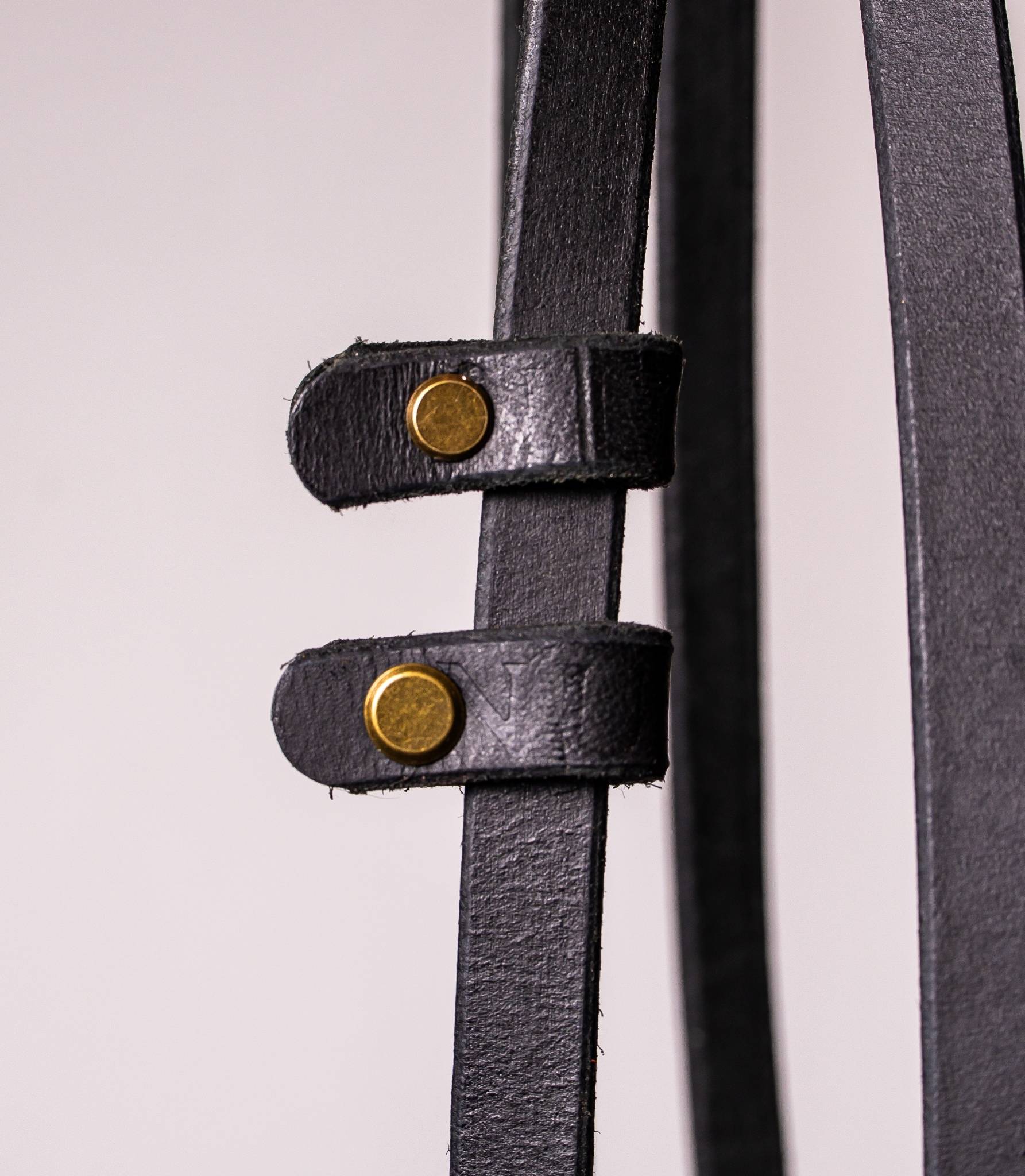 remaches de correa para perros