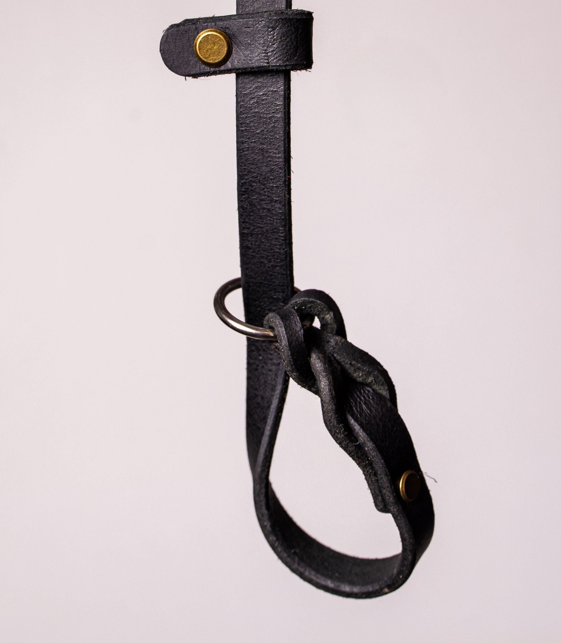 agarre de correa para perros tano