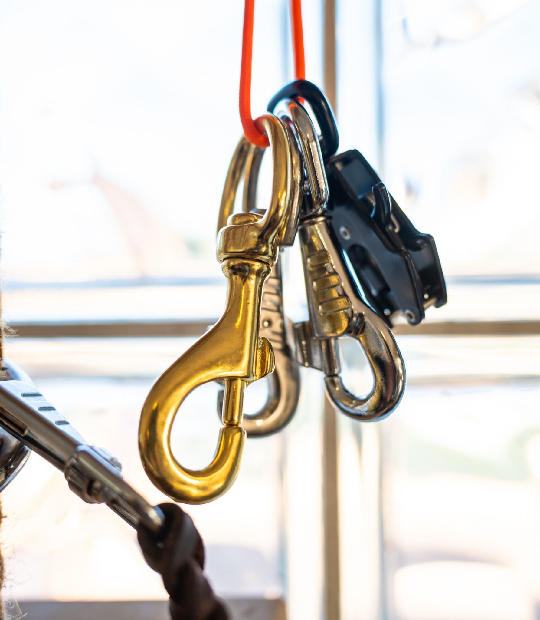 varios mosquetones de correas