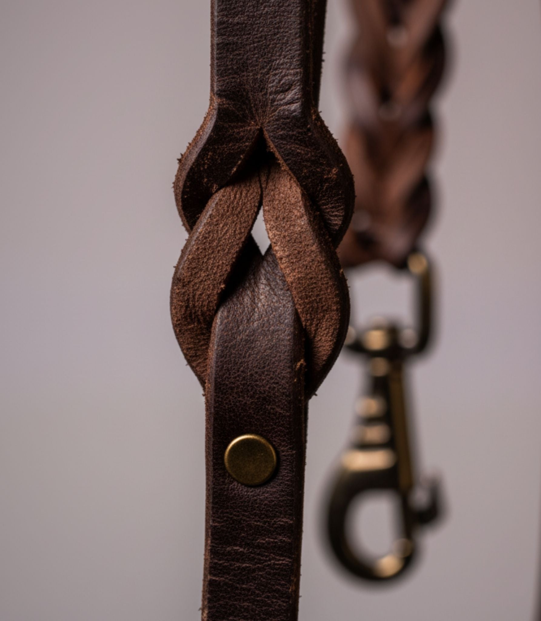 Correa para Perros Nuvik Classic