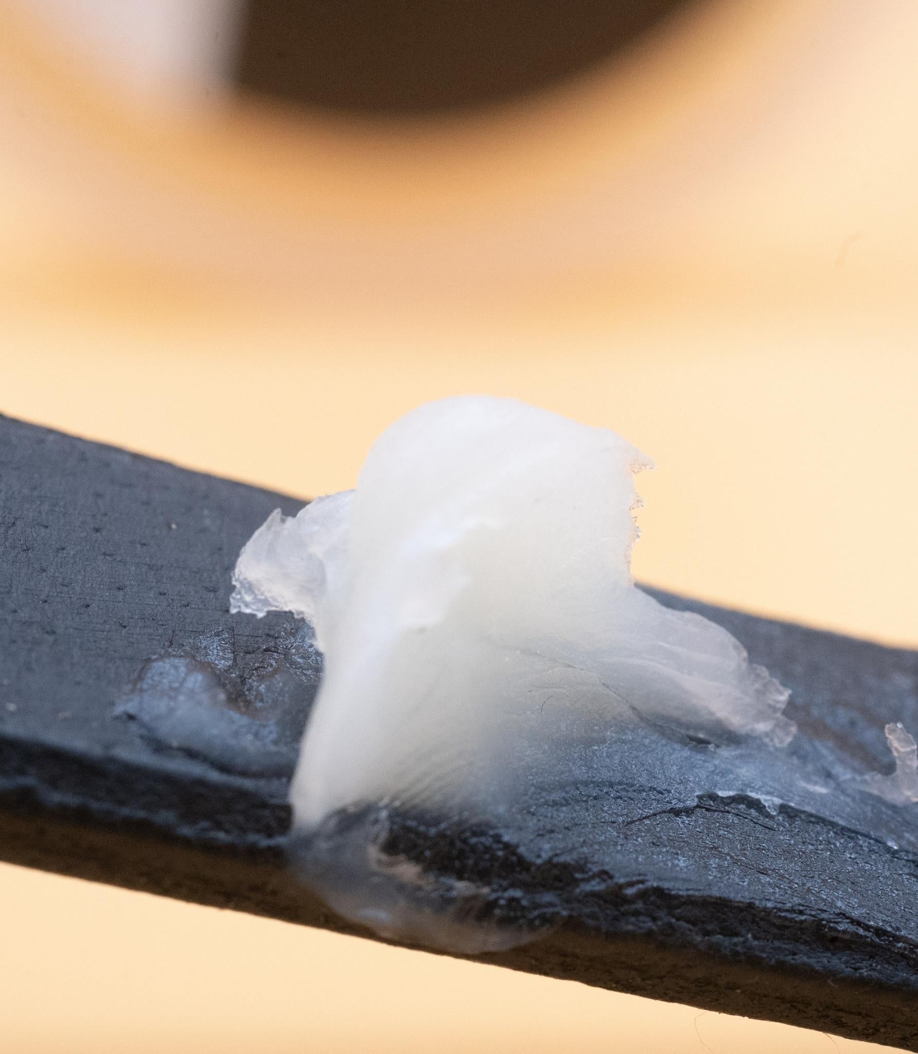 Aceite de visón para cuero Tarrago aplicado