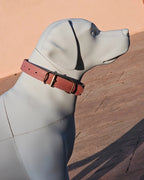 Collar de cuero rosa para perros NUVIK Dahlia