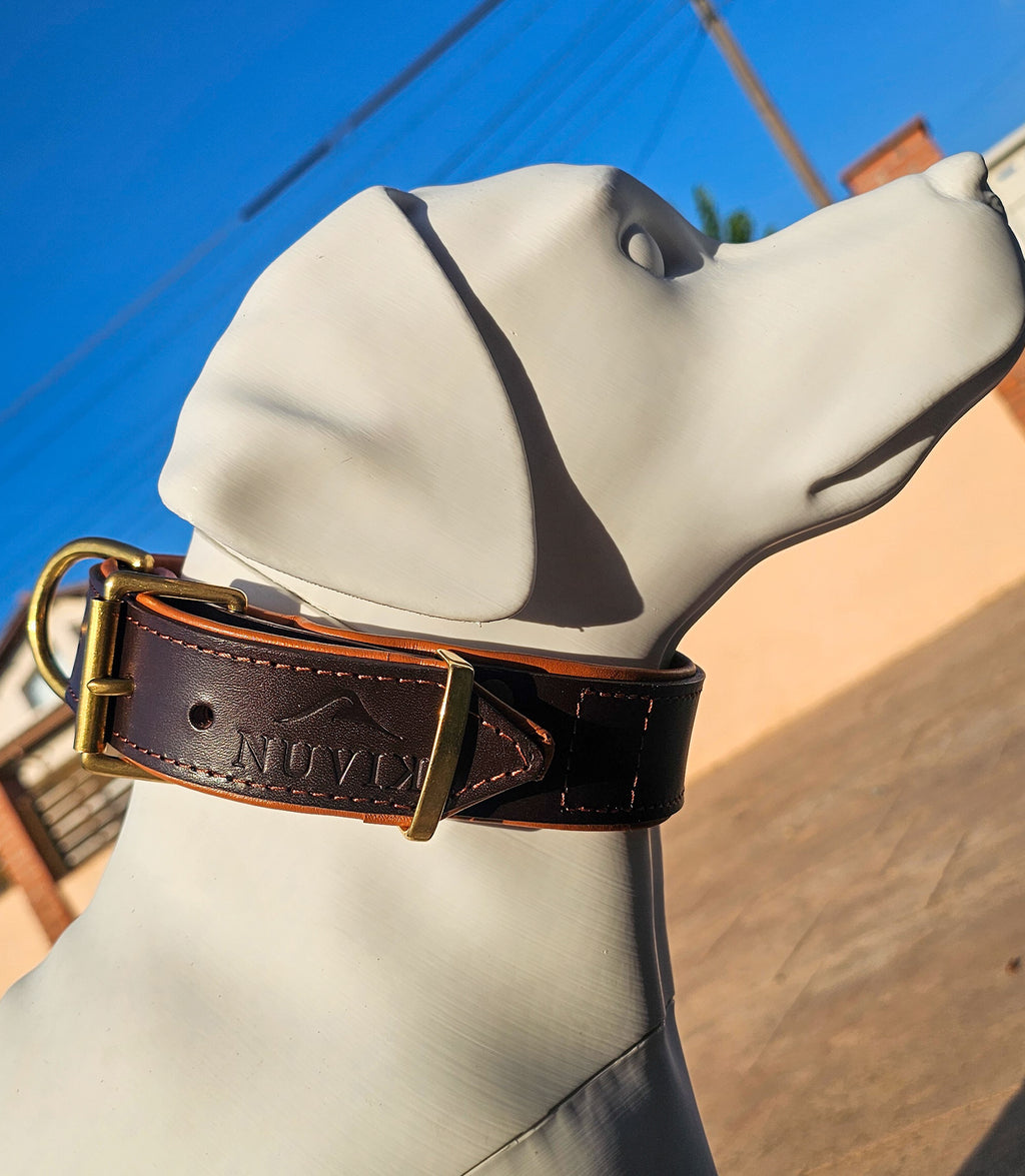 Collar para perros NUVIK Core – Cuero acolchado y reforzado