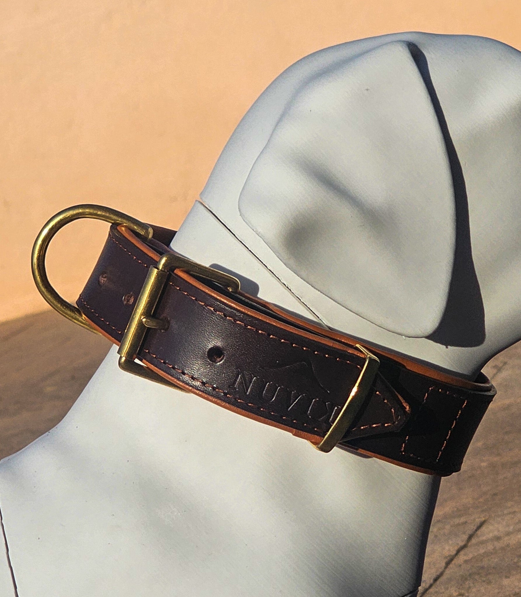Collar para perros NUVIK Core – Cuero acolchado y reforzado