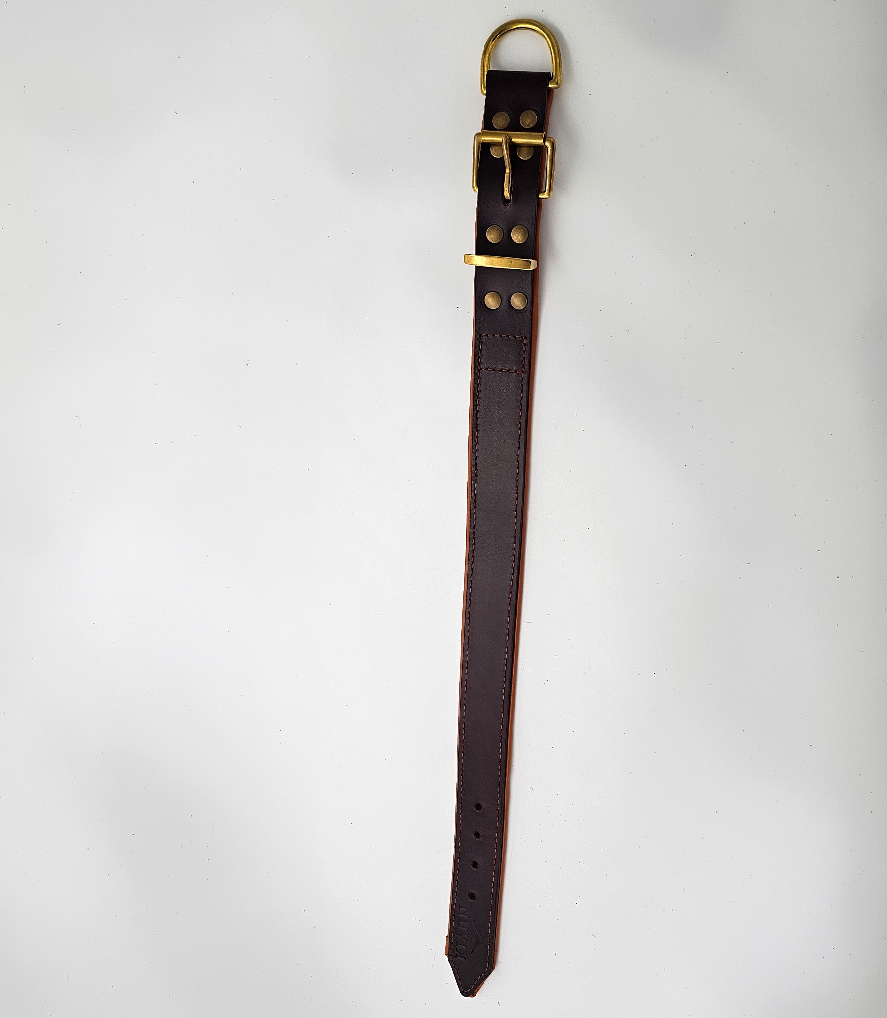 Collar para perros NUVIK Core – Cuero acolchado y reforzado