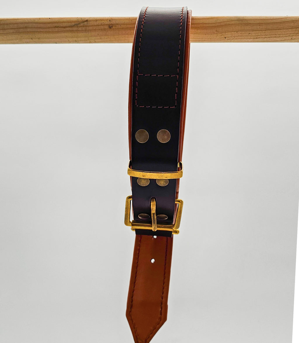 Collar para perros NUVIK Core – Cuero acolchado y reforzado