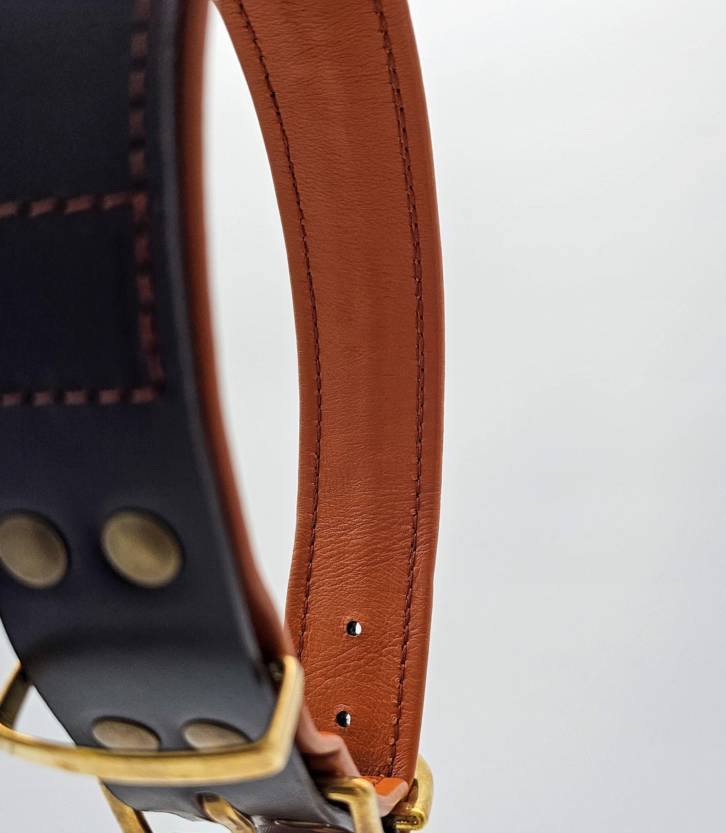 Collar para perros NUVIK Core – Cuero acolchado y reforzado