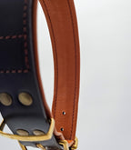 Collar para perros NUVIK Core – Cuero acolchado y reforzado