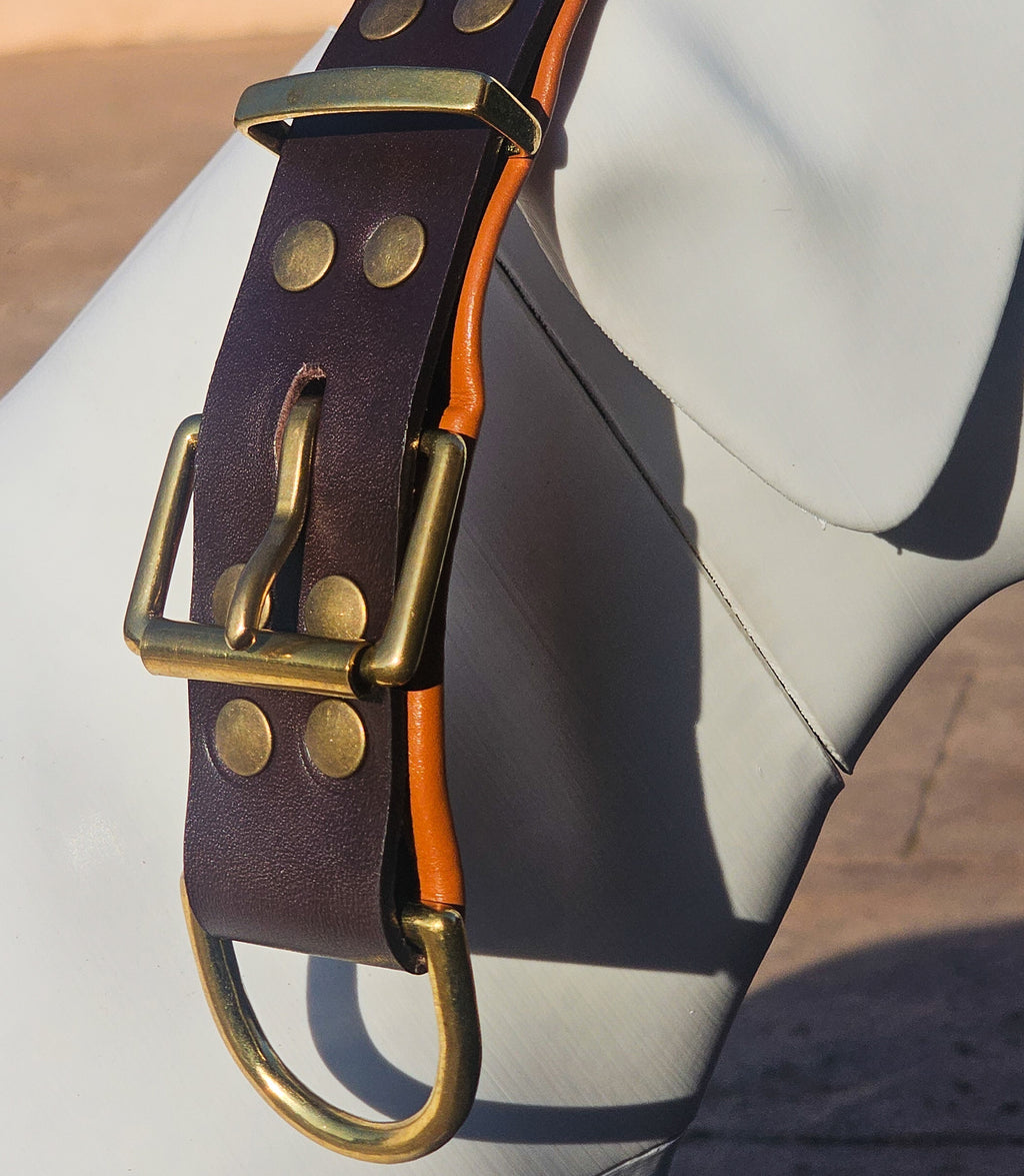 Collar para perros NUVIK Core – Cuero acolchado y reforzado