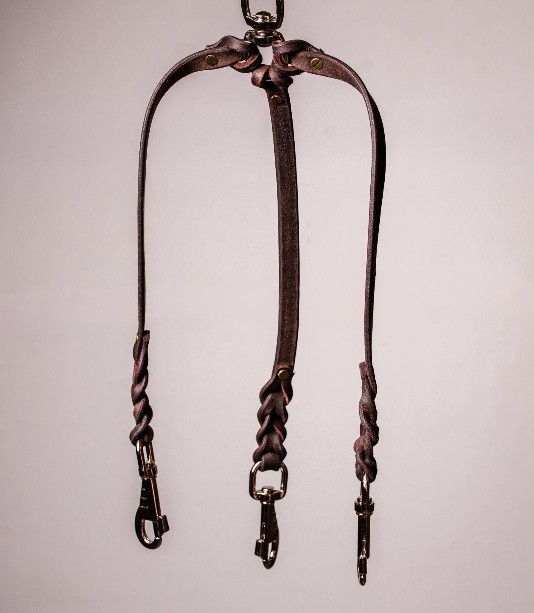 Correa para Perros Nuvik Cerbero