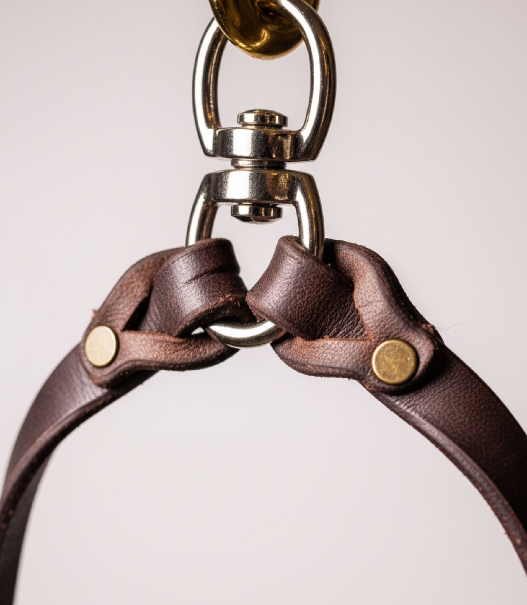 Correa para Perros Nuvik Cerbero