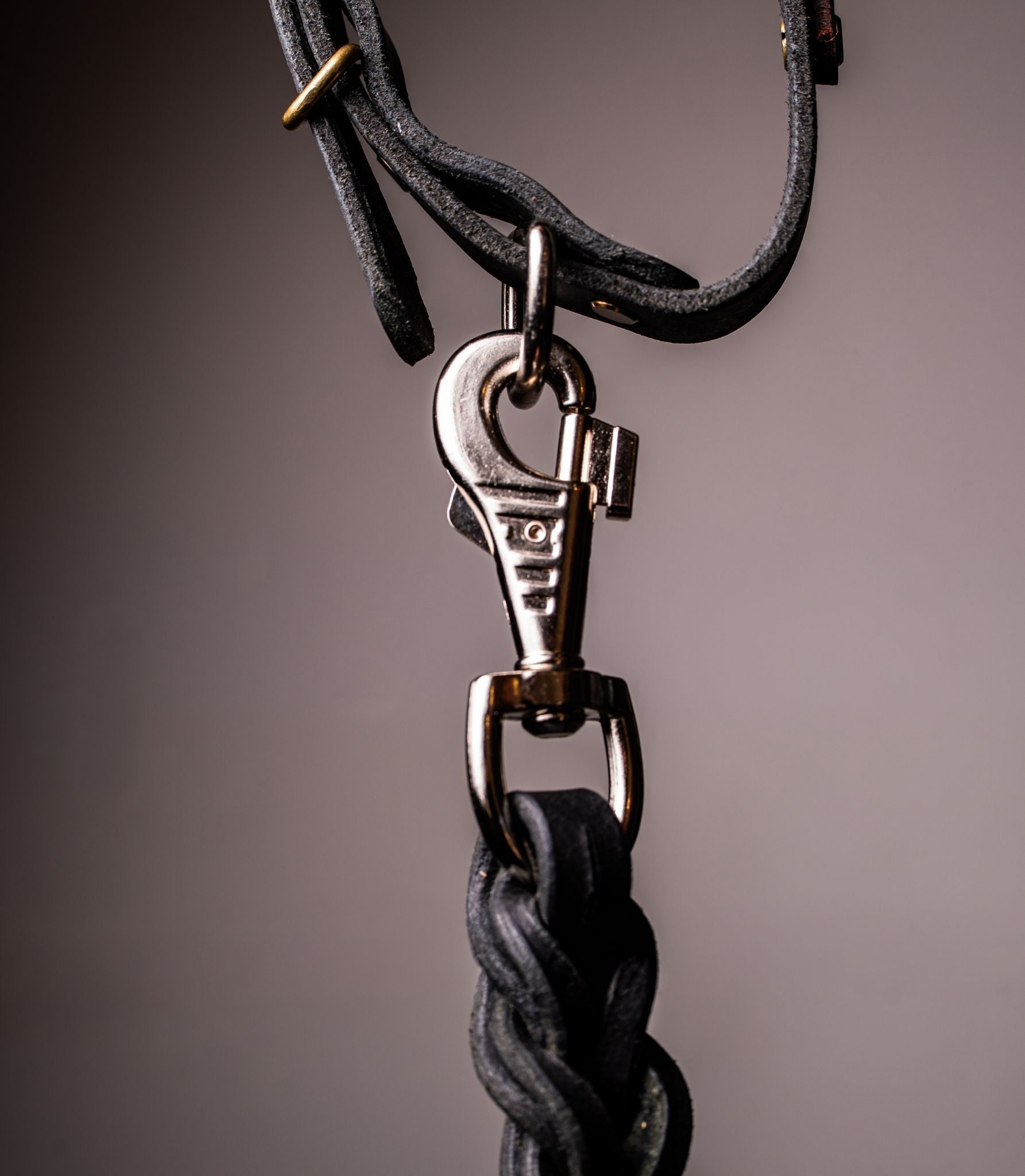 Correa para Perros Nuvik Control