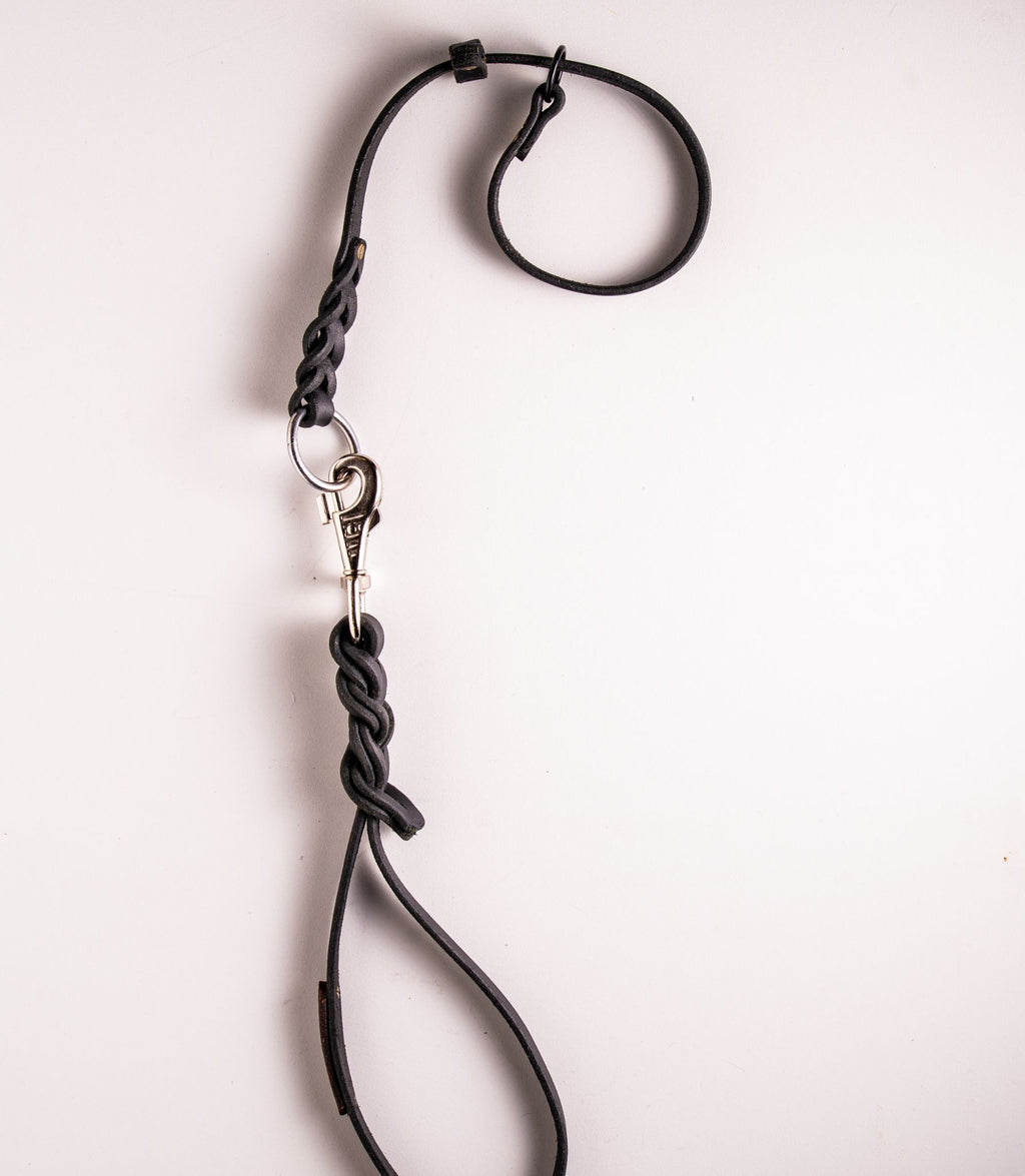 Laisse pour chiens Nuvik Control