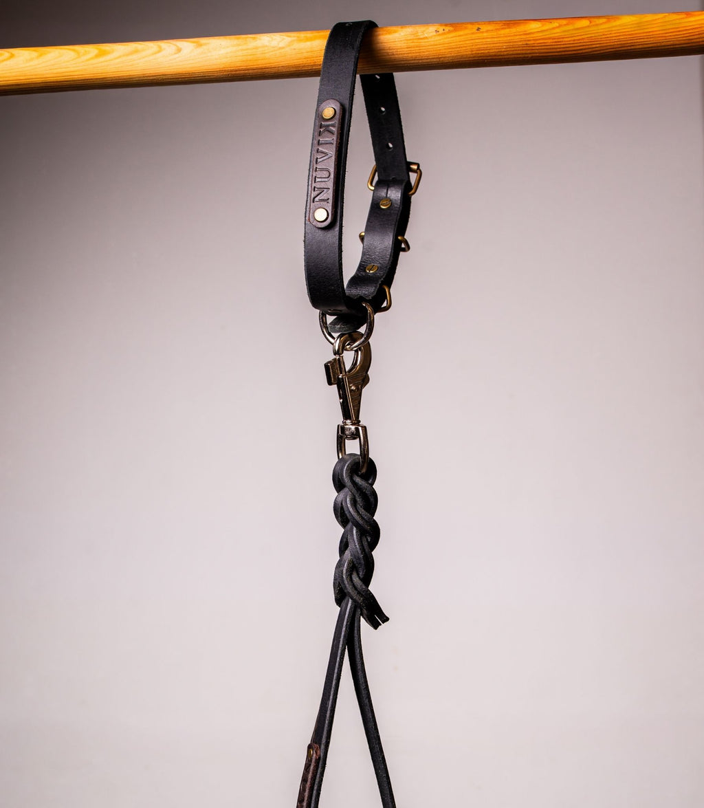 Laisse pour chiens Nuvik Control