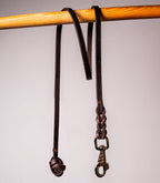 Laisse pour chien Nuvik Dragon
