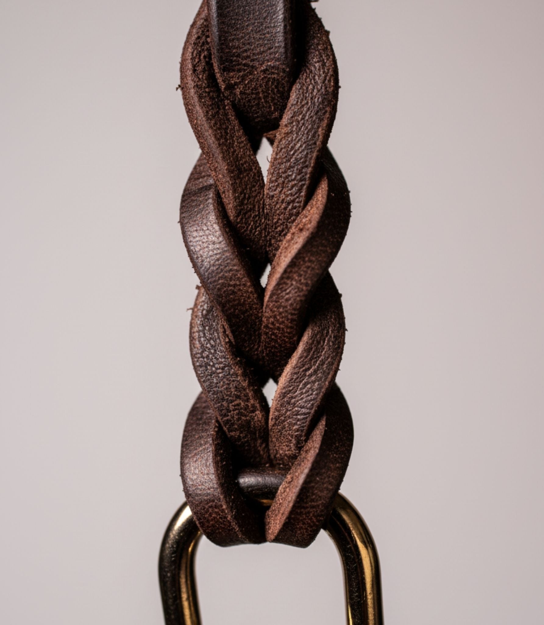 Correa para Perro Nuvik Dragon