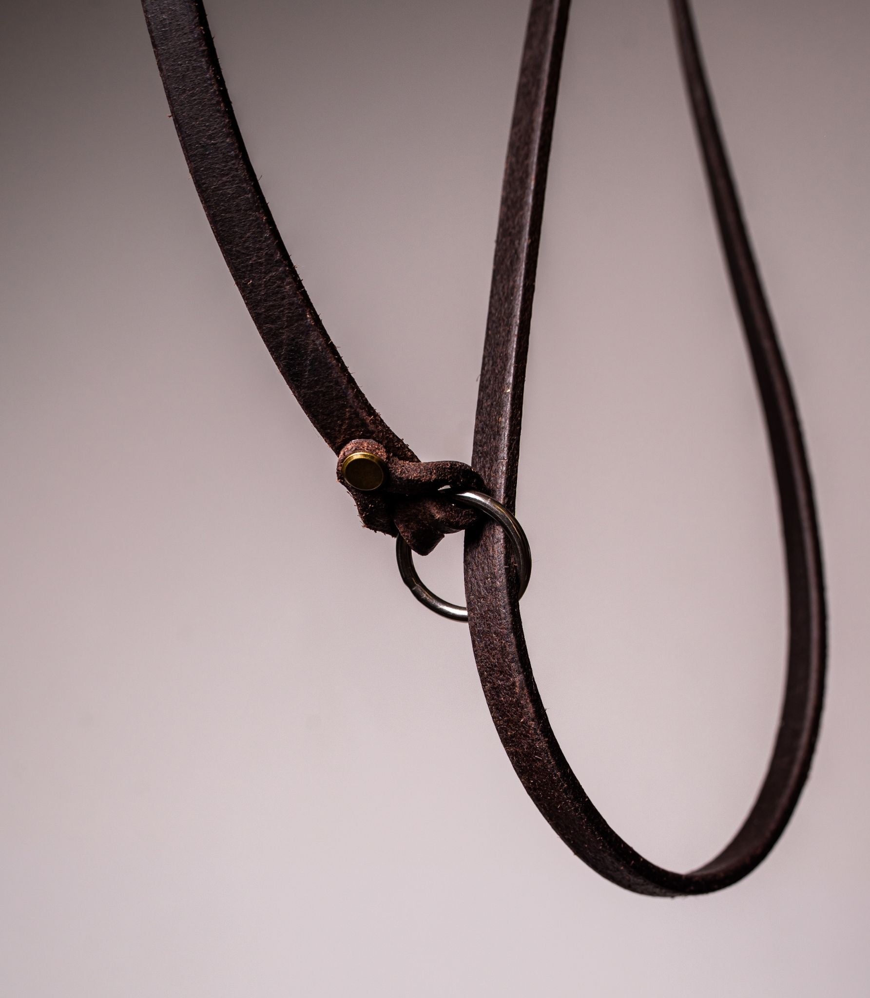 Correa para Perros Nuvik Field