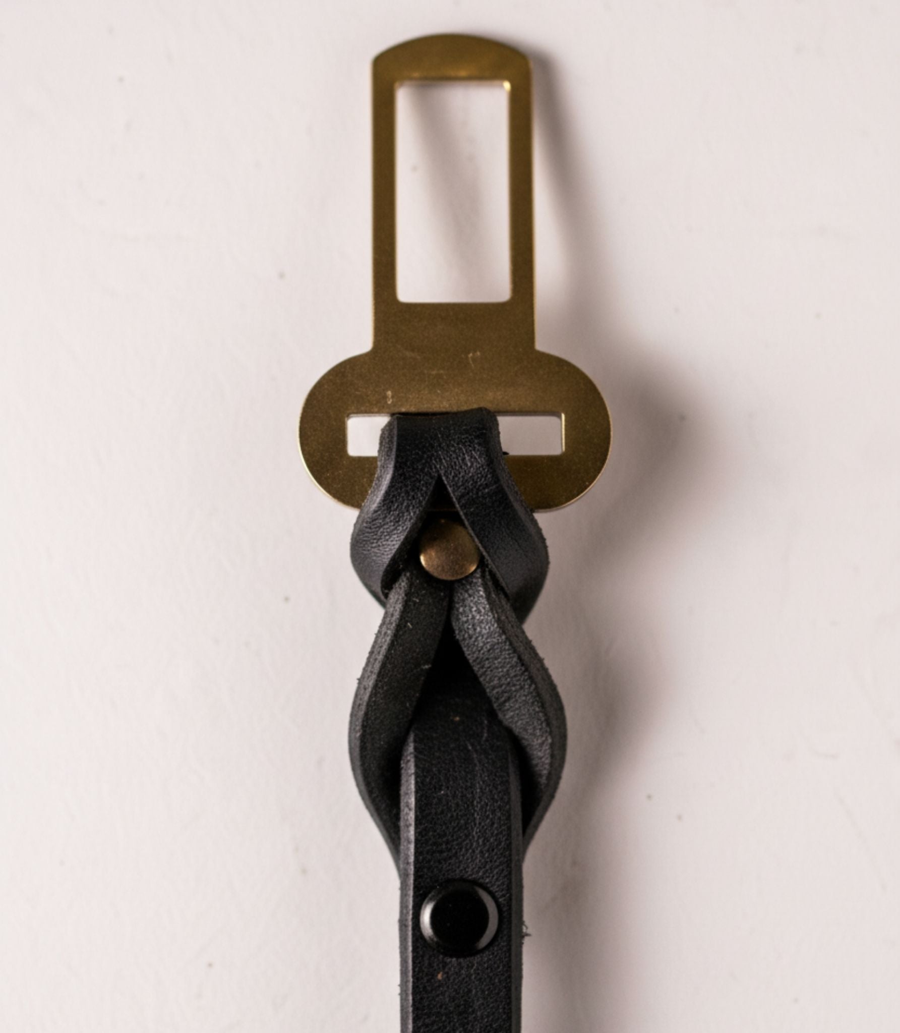 Correa para el coche para Perros Nuvik Ride