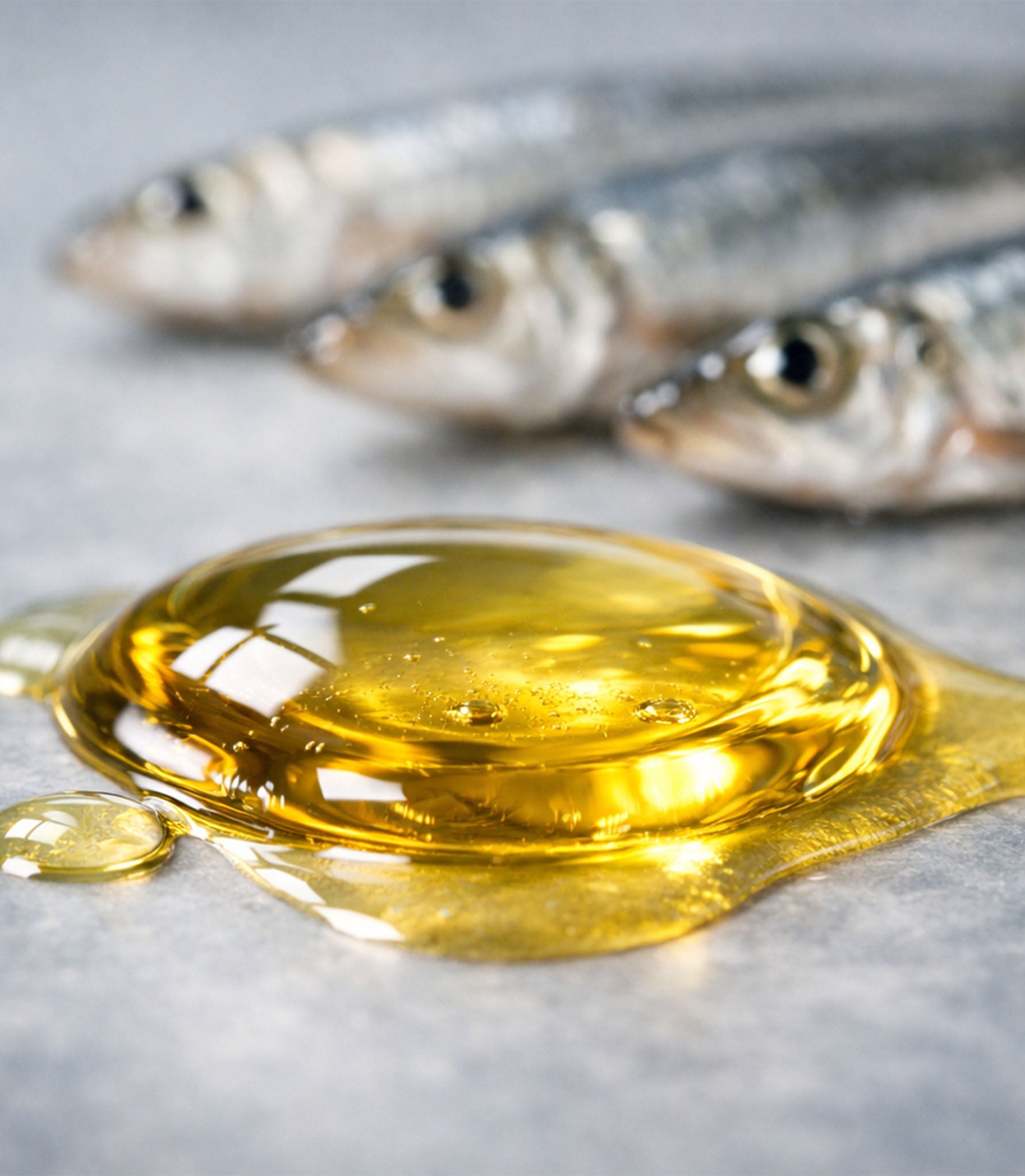 aceite de sardina para perros