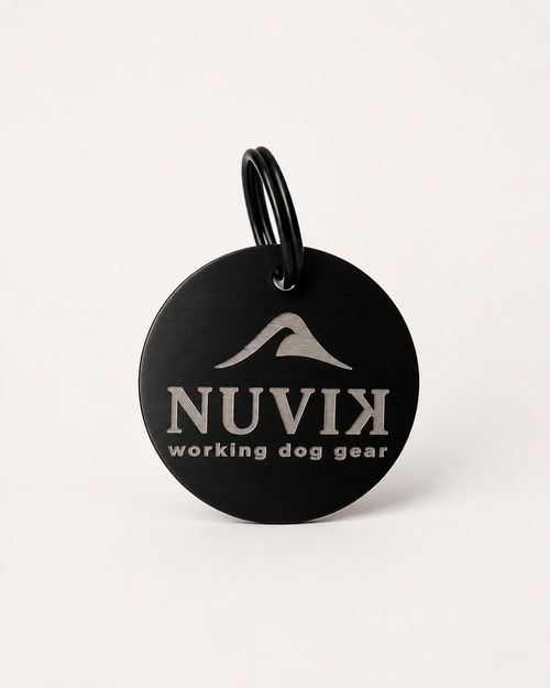 Chapa personalizada para perro con nombre y teléfono