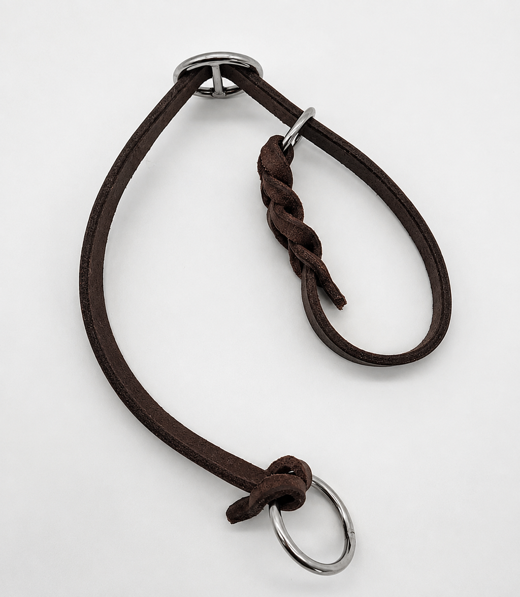collar adestramiento para perro 