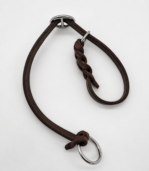 collar adestramiento para perro 