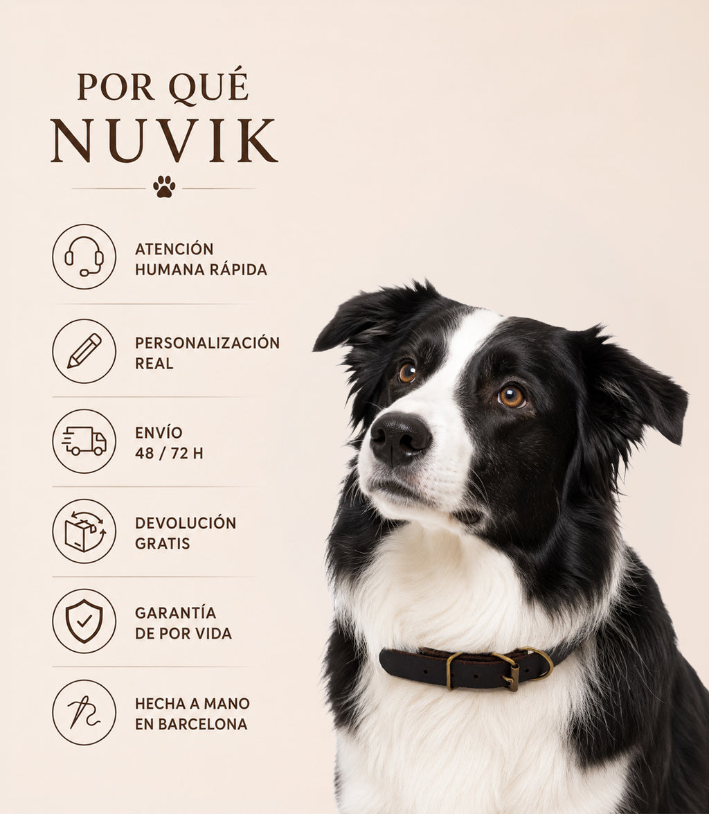 Collar de cuero NUVIK Classic Mini para perros pequeños y cachorros