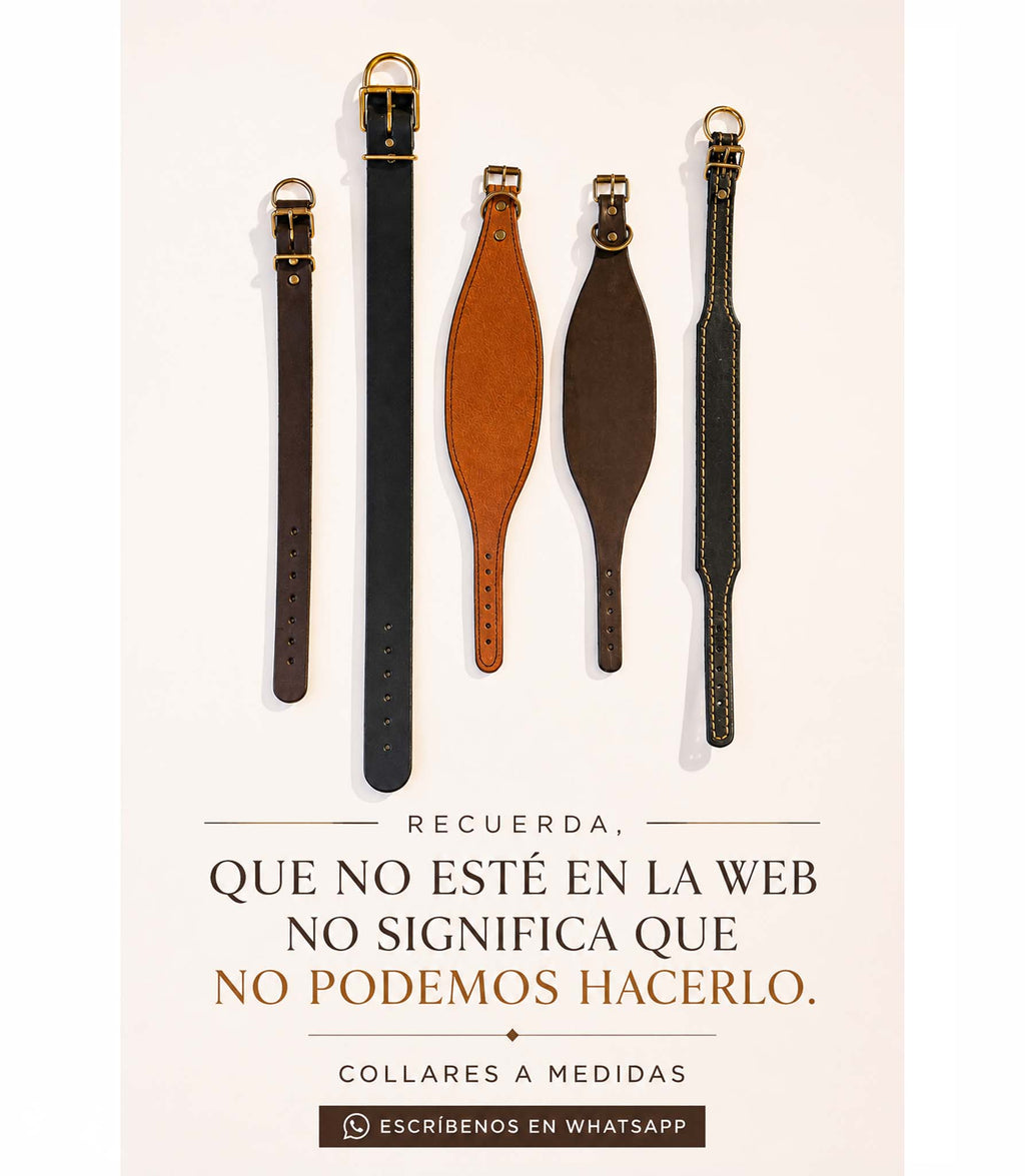 collares para perros de cuero a medida y personalizados