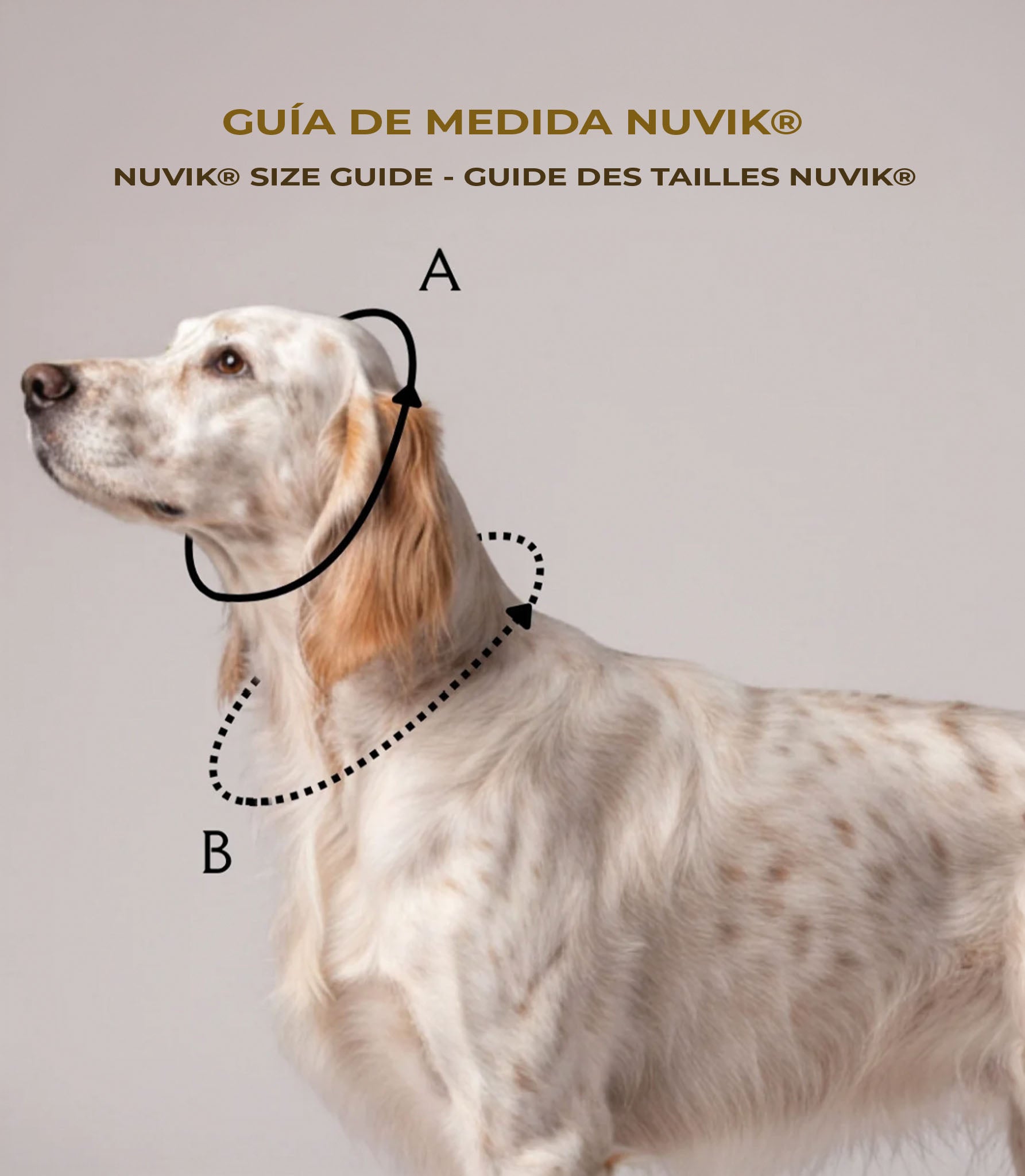 Collar para Perros Nuvik Coral