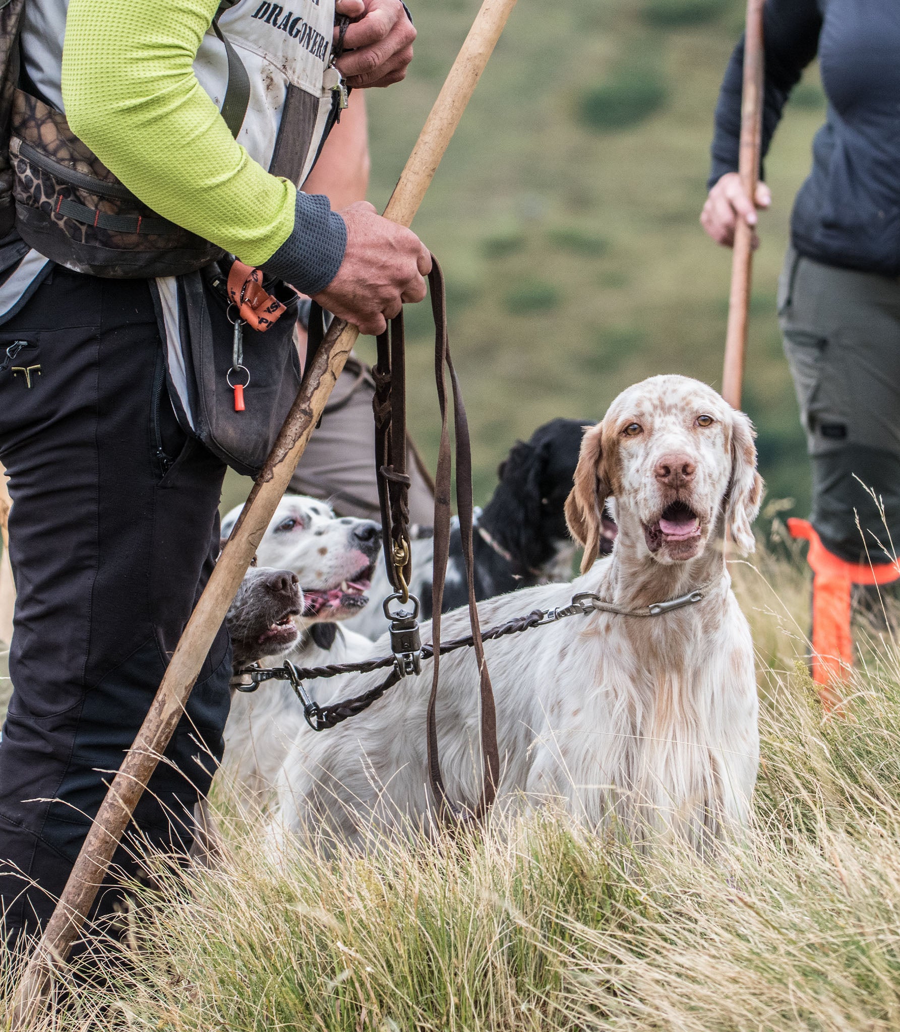 Correa para Perros Nuvik Hunt